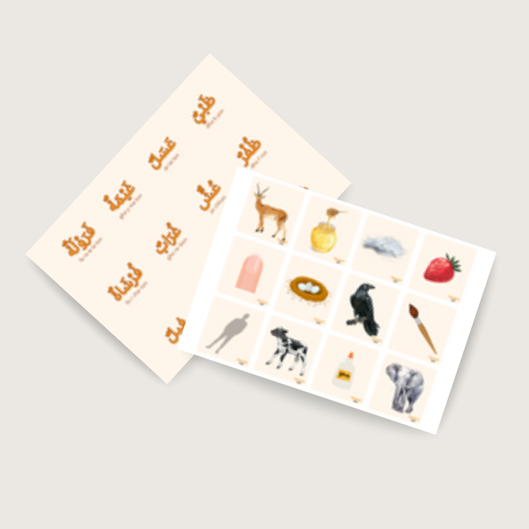 Cartes de lecture image/mot – 3 sons par lettre